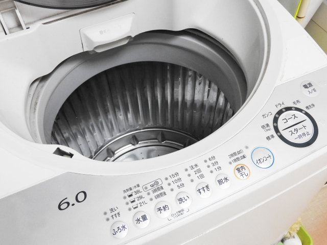 新しい洗濯機でもおそろしいほどの汚れがある場合があります