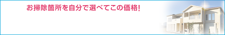 お掃除箇所を自分で選べてこの価格!